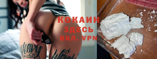 твердый Абаза