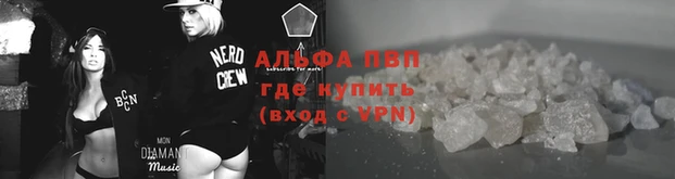 jwh Алзамай