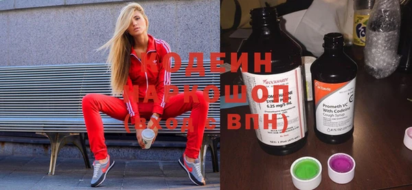 крисы Новозыбков