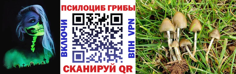 Галлюциногенные грибы мицелий Туран